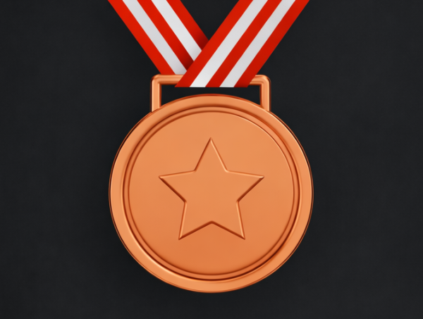 bronze Bronze Sponsor